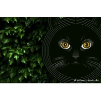 Black Cat Wind Spinner
