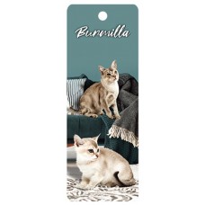 Burmilla Cat 3D Bookmark