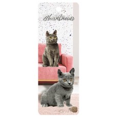 Chartreux Cat 3D Bookmark