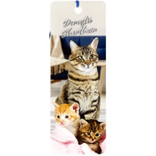 Domestic Shorthair Cat 3D Bookmark