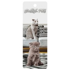 Scottish Fold Cat 3D Bookmark