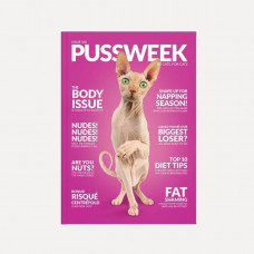 Pussweek Magazine - Issue #6