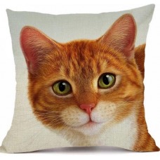 Ginger & White Cat Cushion