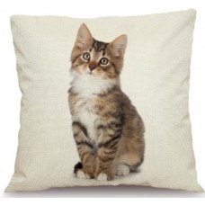 Tabby and White Kitten Cushion